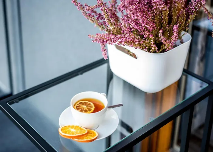 Targi Z Garażem I Siłownią *